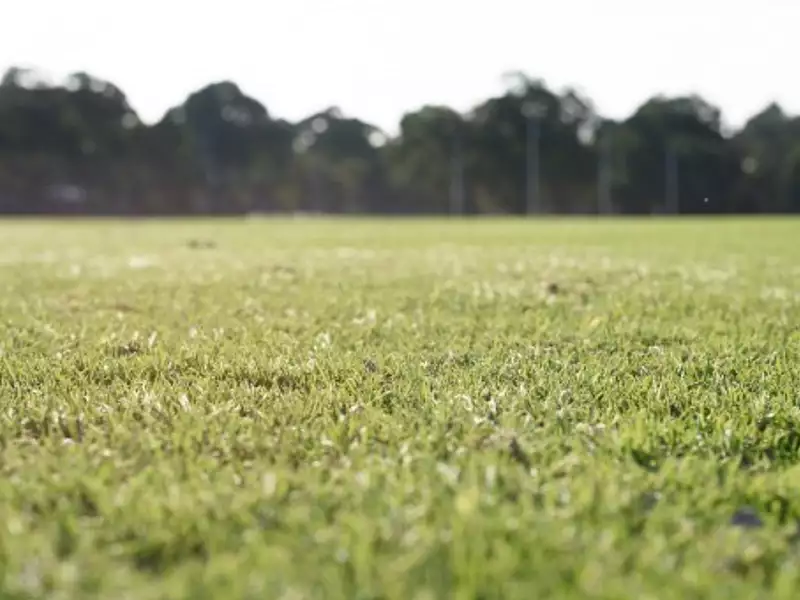 Terrain à bâtir, 385 m² - Notre-Dame-d'Oé (37390)