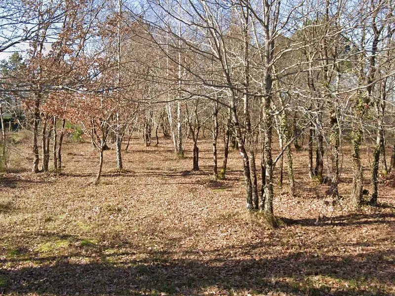 Terrain à bâtir, 1 242 m² - Biscarrosse (40600)
