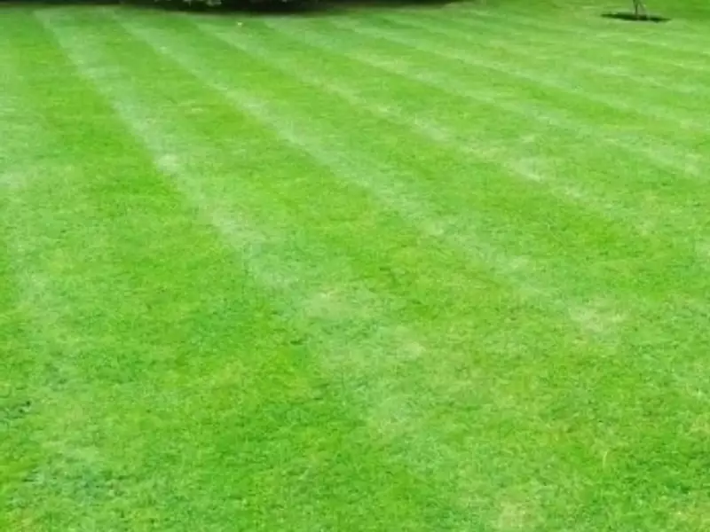 Terrain à bâtir, 595 m² - La Chaize-le-Vicomte (85310)