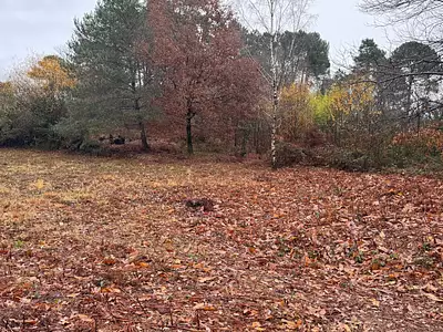 Maison neuve, 87 m²