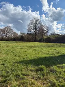 Maison neuve, 50 m²