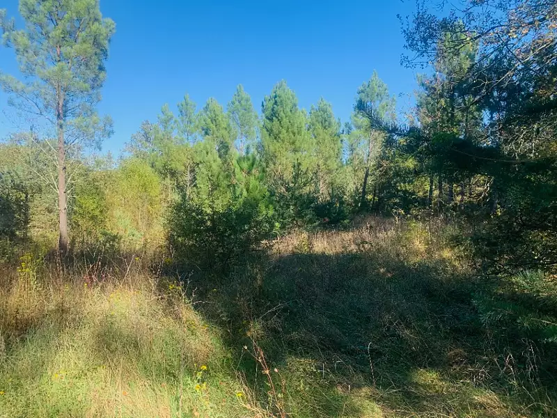 Terrain à bâtir, 1 666 m² - Vagnas (07150)