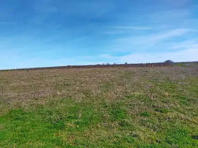 Terrain à bâtir, 2 000 m²