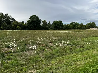 Terrain à bâtir, 1 241 m²