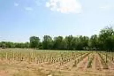 Maison neuve, 80 m²