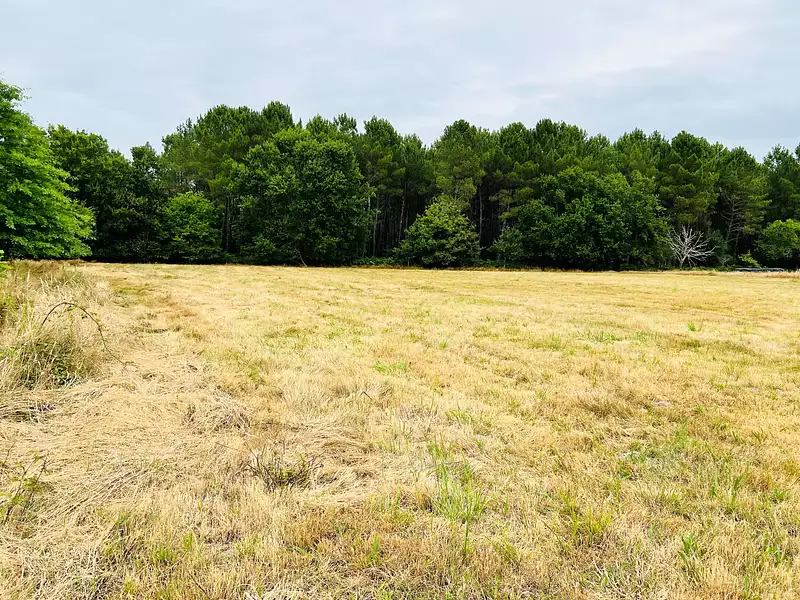 Maison neuve, 83 m² - Saint-Perdon (40090)