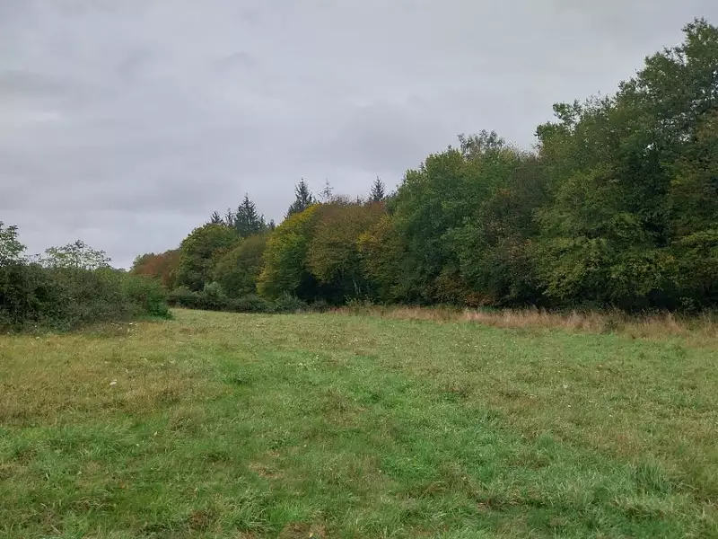 Terrain à bâtir, 462 m² - Mareil-le-Guyon (78490)