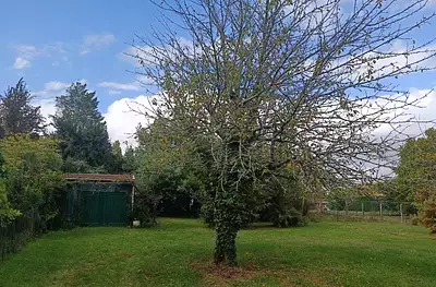 Terrain à bâtir, 800 m²