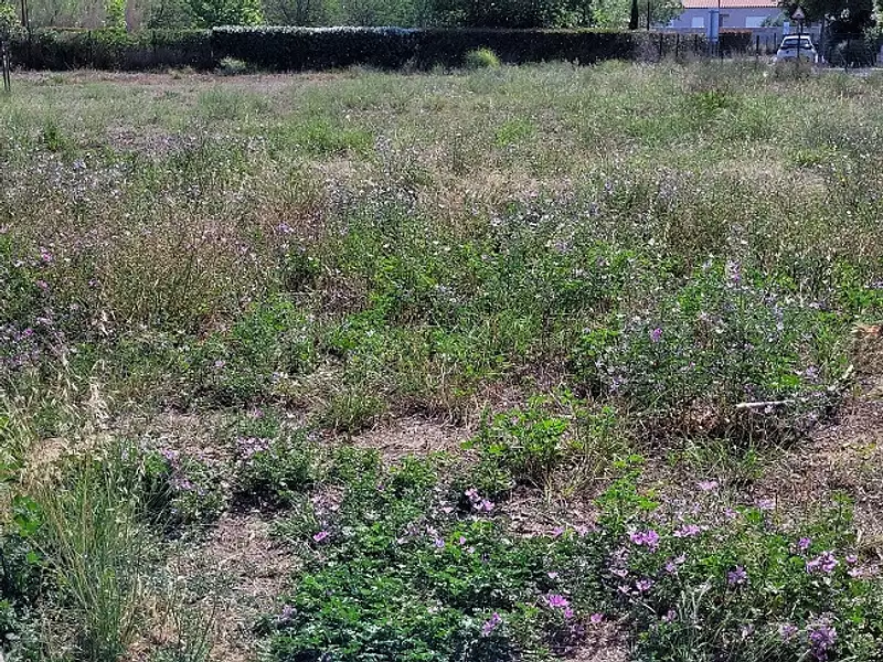 Terrain à bâtir, 525 m² - Cabestany (66330)