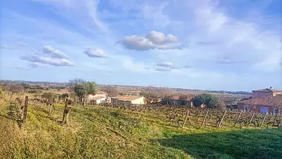 Terrain à bâtir, 1 643 m²