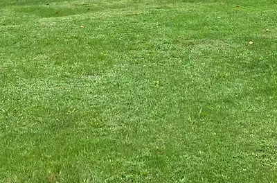 Maison neuve, 120 m²