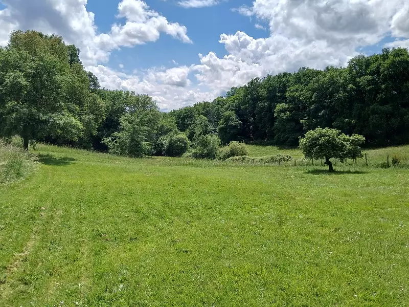 Terrain à bâtir, 1 300 m² - Créon (33670)