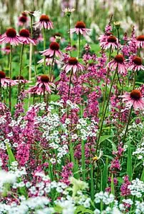 Terrain à bâtir, 255 m²