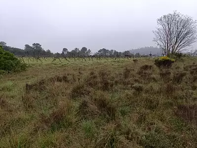 Terrain à bâtir, 515 m²