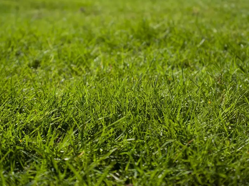 Terrain à bâtir, 1 020 m² - Rouvres (14190)