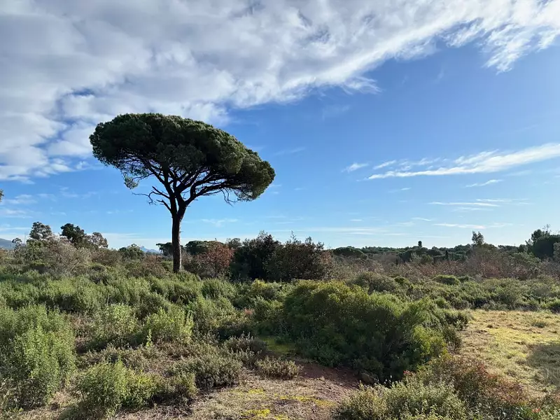 Terrain à bâtir, 628 m² - Puget-sur-Argens (83480)