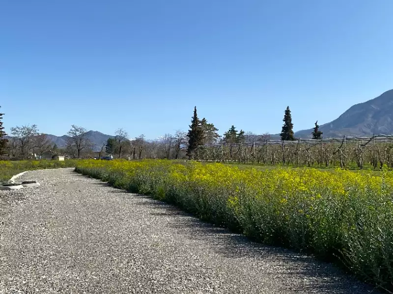Terrain à bâtir, 700 m² - Ventavon (05300)