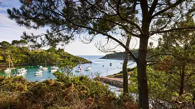 Terrain à bâtir, 509 m²