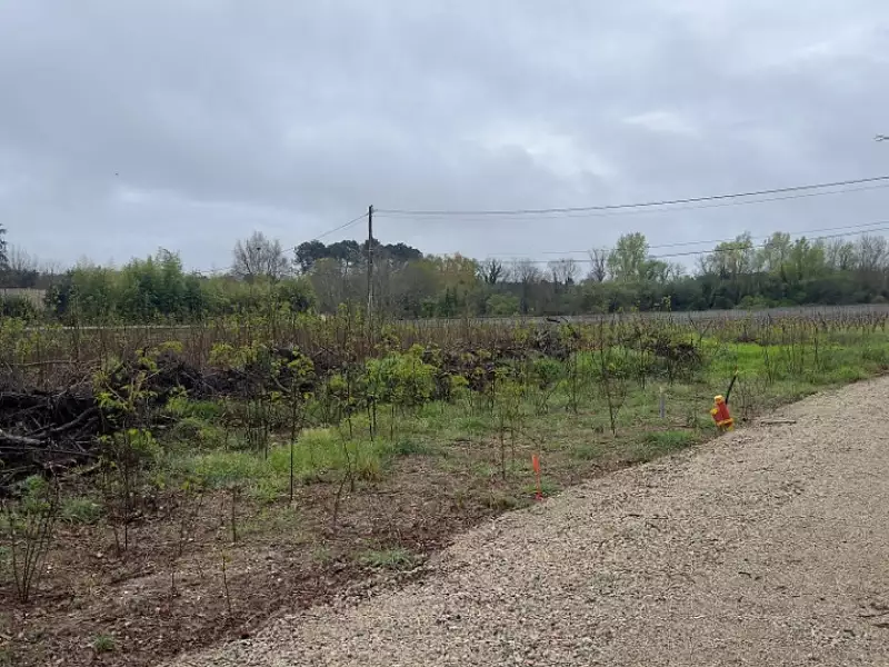 Terrain à bâtir, 850 m² - La Brède (33650)