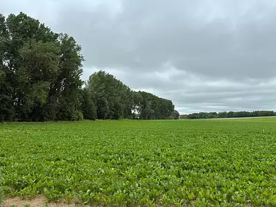 Terrain à bâtir, 608 m²