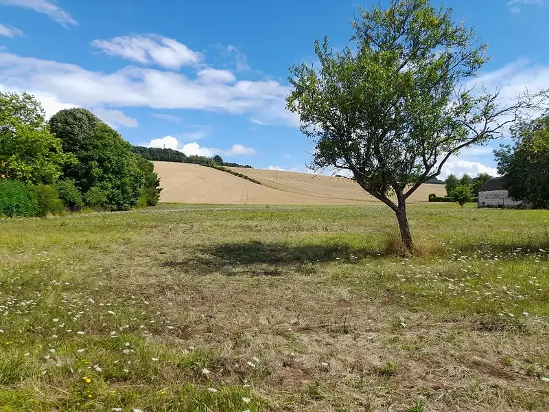 Maison neuve, 73 m² - Béon (89410)