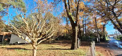 Maison neuve, 80 m²