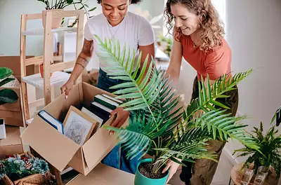 LES LISIERES DE LA LOUBERE