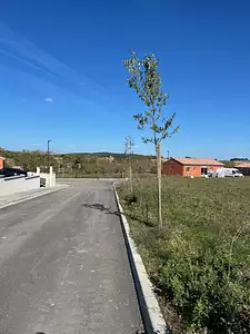 Terrain à bâtir, 620 m²