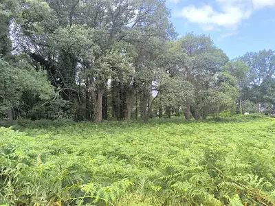 Terrain à bâtir, 685 m²
