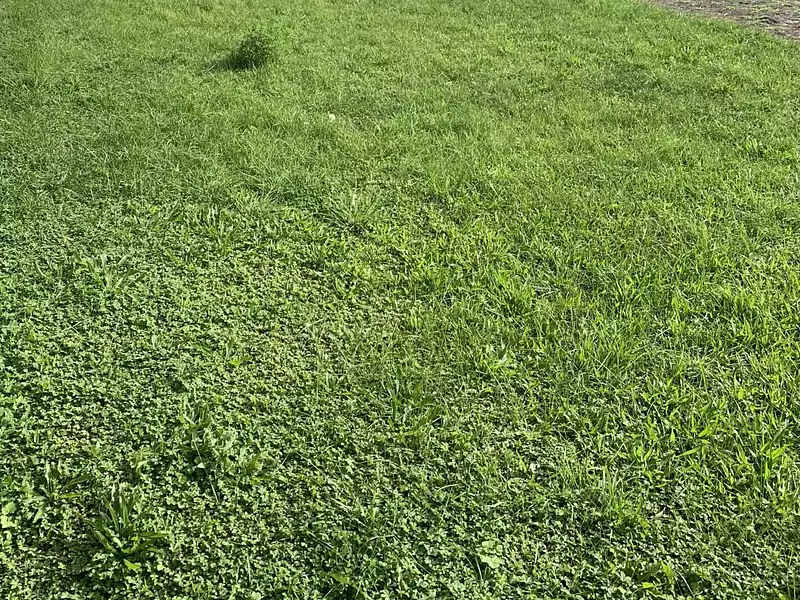 Terrain à bâtir, 261 m² - Penchard (77124)