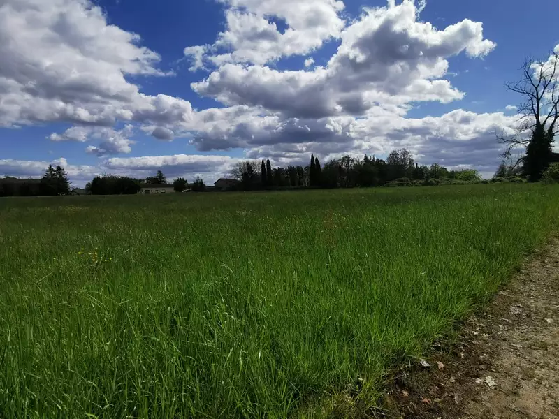 Terrain à bâtir, 806 m² - Grignols (33690)