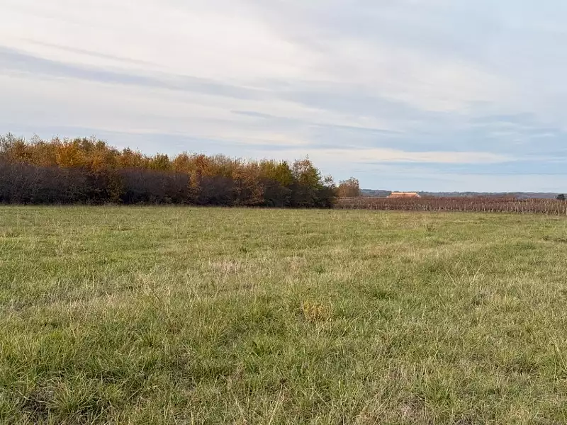 Terrain à bâtir, 950 m² - Saint-Laurent-des-Vignes (24100)