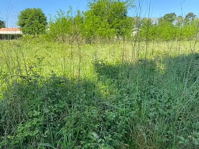 Terrain à bâtir, 800 m²