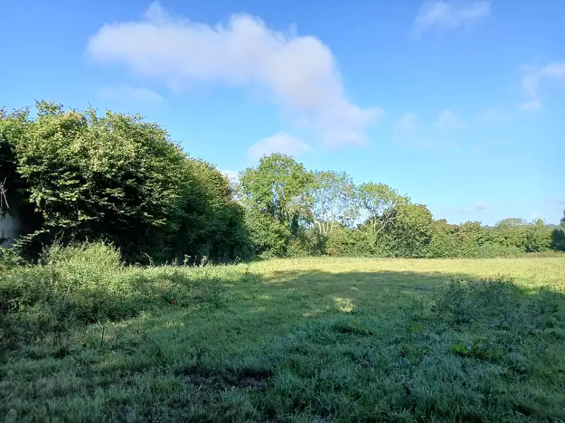 Maison neuve, 100 m² - Saint-Hymer (14130)