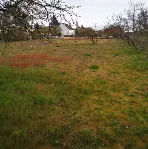 Maison neuve, 98 m²