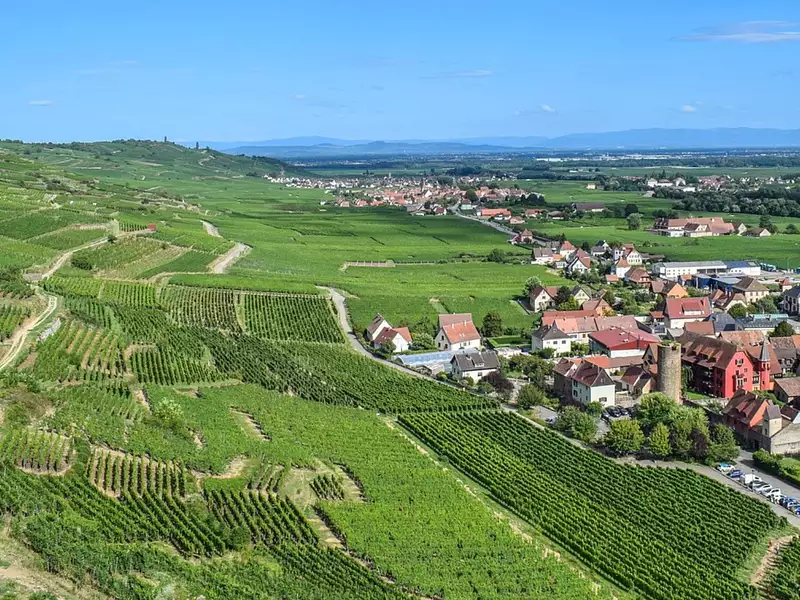 Prochainement à Wintzenheim - Wintzenheim (68920)