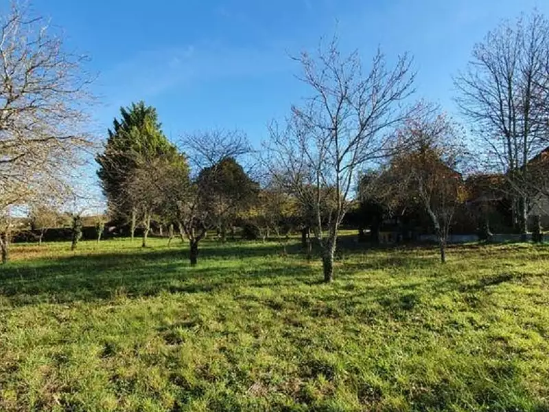 Terrain à bâtir, 3 006 m² - Angles-sur-l'Anglin (86260)