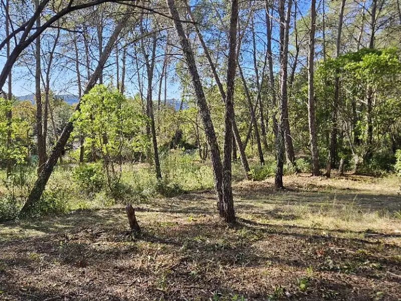 Terrain à bâtir, 1 516 m² - Bagnols-en-Forêt (83600)