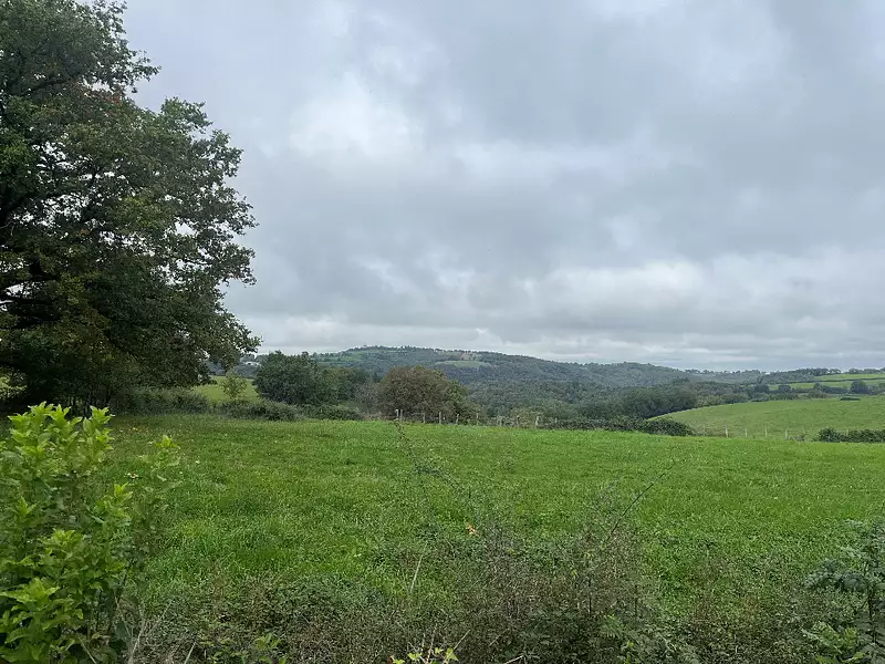 Terrain à bâtir, 2 400 m² - Pampelonne (81190)