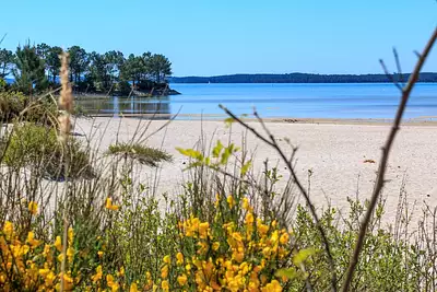 Terrain à bâtir, 604 m²
