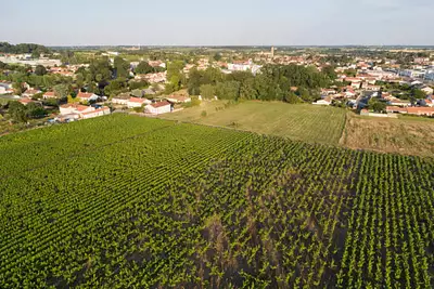 Terrain à bâtir, 601 m²