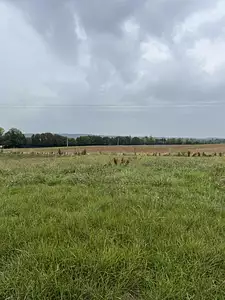 Terrain à bâtir, 431 m²