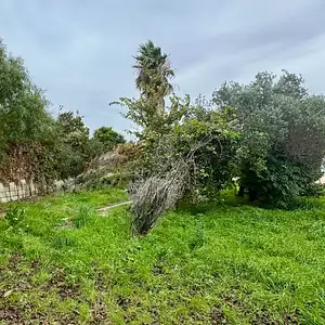 Maison neuve, 130 m²