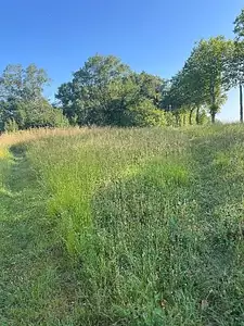 Terrain à bâtir, 630 m²