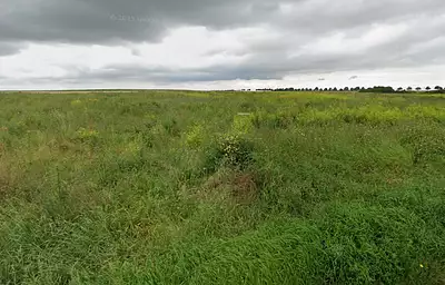 Maison neuve, 110 m²