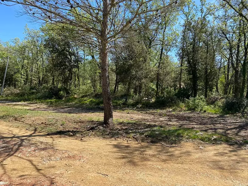 Terrain à bâtir, 2 000 m² - Méounes-lès-Montrieux (83136)