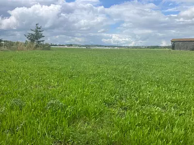 Maison neuve, 231 m²