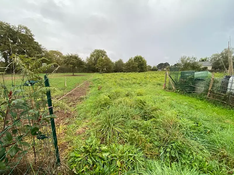 Terrain à bâtir, 1 200 m² - Sainte-Anne-sur-Brivet (44160)