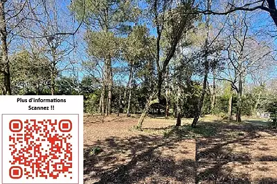 Maison neuve, 90 m²