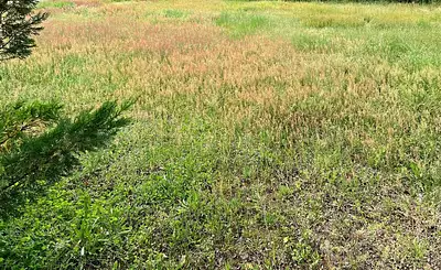 Terrain à bâtir, 900 m²